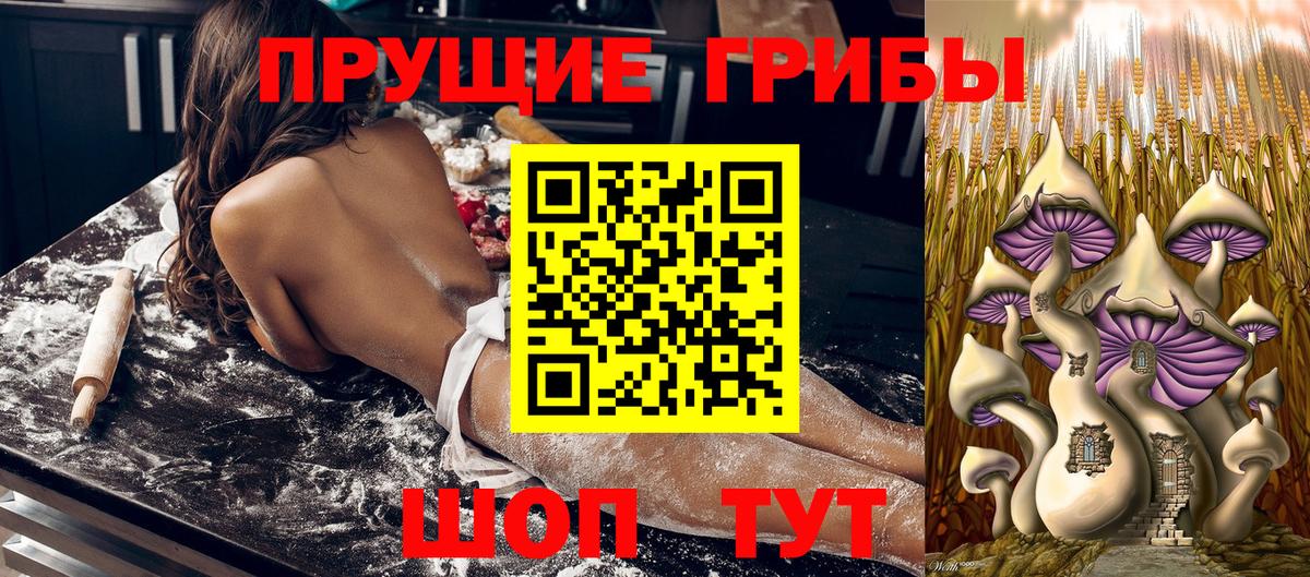 Галлюциногенные грибы мицелий Алатырь