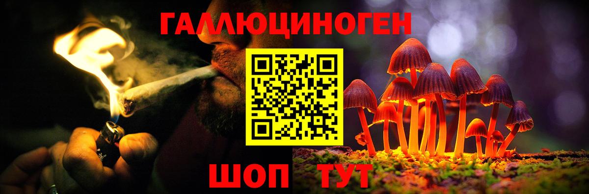 наркота  Вход с VPN  Алатырь  Галлюциногенные грибы MAGIC MUSHROOMS 
